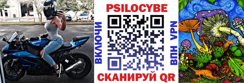 маркетплейс телеграм  цены   Льгов  Галлюциногенные грибы Psilocybe 