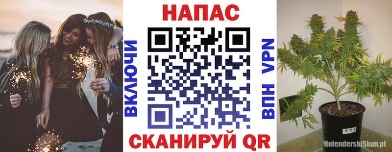 Бошки марихуана индика  как найти закладки  Льгов 